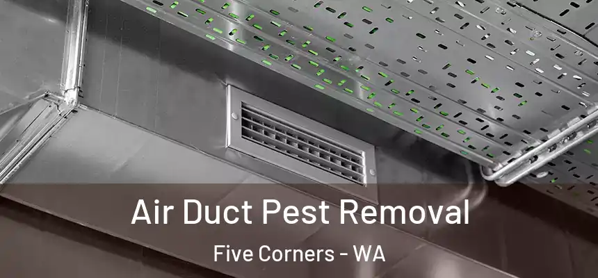  Air Duct Pest Removal Five Corners - WA