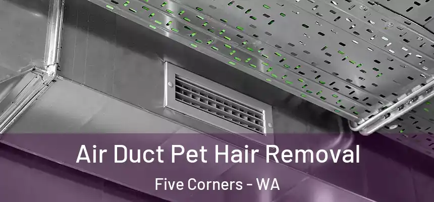  Air Duct Pet Hair Removal Five Corners - WA