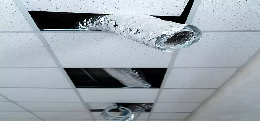 Our Air Duct Pet Hair Removal Services in Five Corners, WA