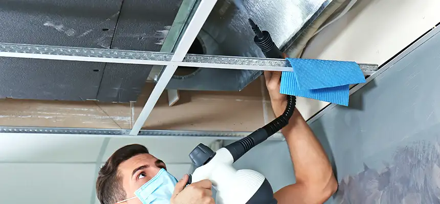 Our Air Duct Rodent Removal Services in Five Corners, WA