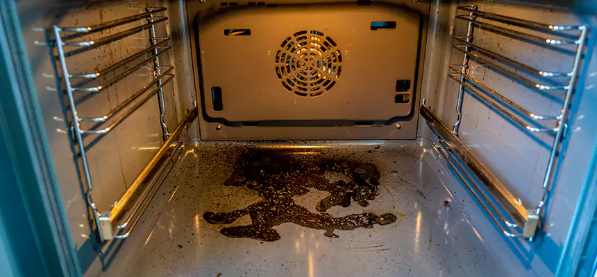 Our Dryer Vent Mold Cleaning Services in Five Corners, WA