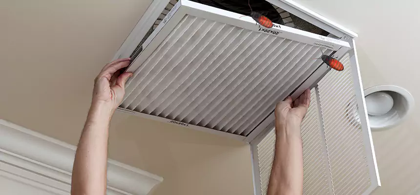 Our Insect Removal from Air Ducts Services in Five Corners, WA