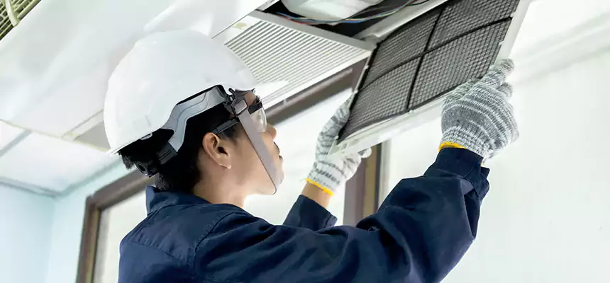 Our Mold & Mildew Removal from Air Ducts Services in Five Corners, WA