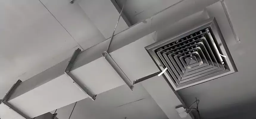 Our Rodent Droppings In Vents Services in Five Corners, WA