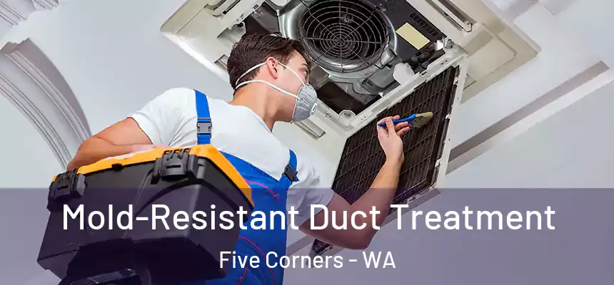  Mold-Resistant Duct Treatment Five Corners - WA