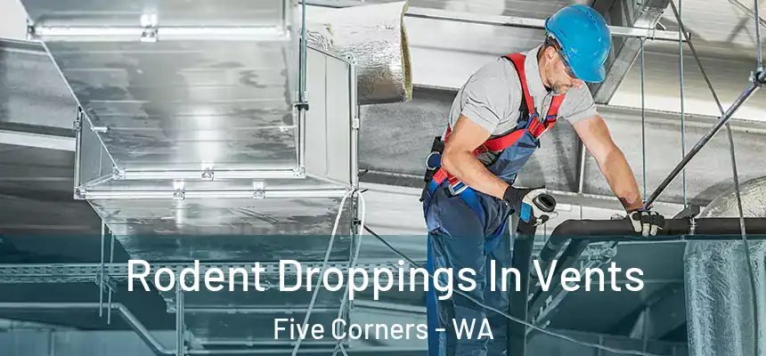  Rodent Droppings In Vents Five Corners - WA