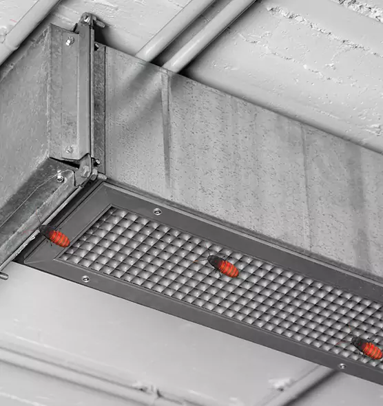 About Air Duct Cockroach Removal in Five Corners, WA