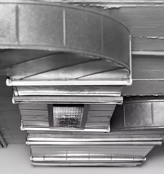 Professional Air Duct Pest Removal in Five Corners, WA