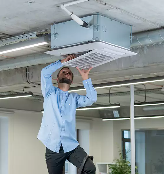 Advanced Rodent Droppings In Vents in Five Corners, WA