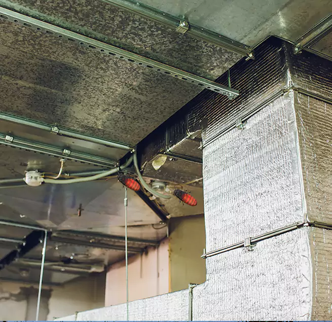 Why Homeowners & Businesses Trust Us in Five Corners, WA?