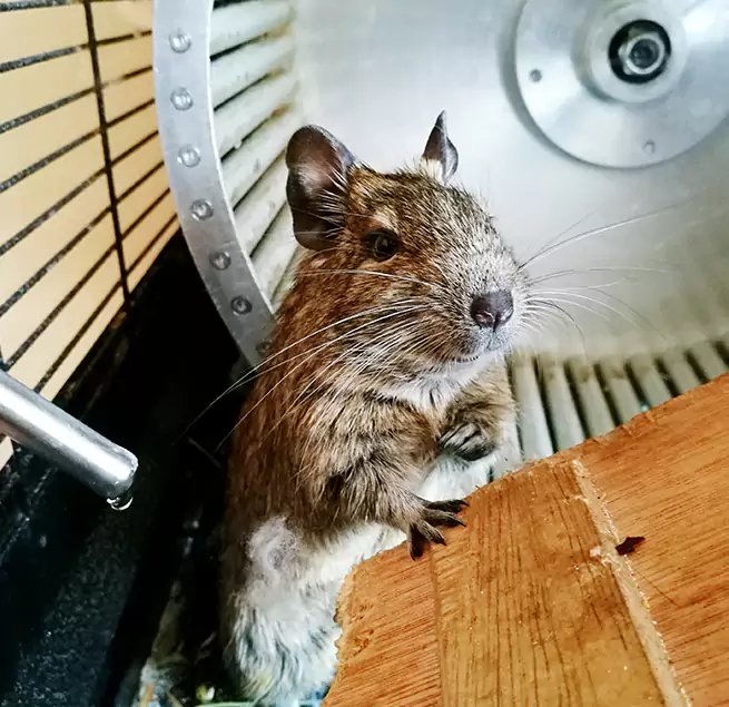 Why Homeowners & Businesses Trust Us Five Corners, WA?