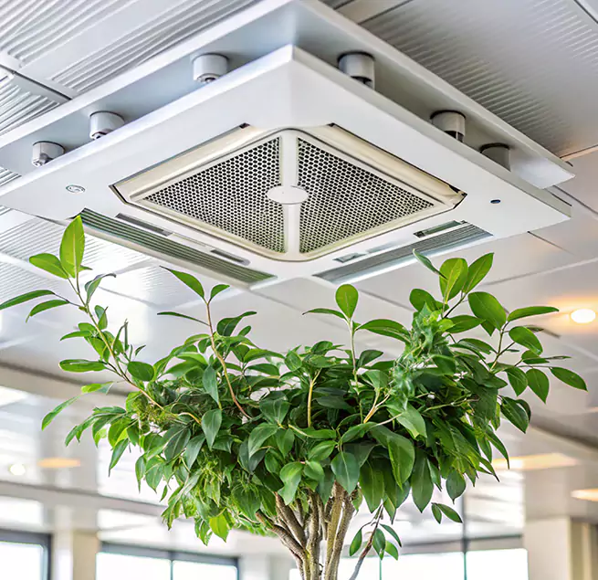 Why Homeowners & Businesses Trust Us in Five Corners, WA?