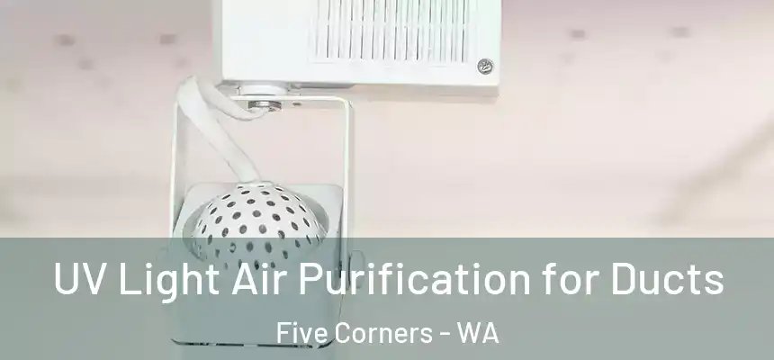  UV Light Air Purification for Ducts Five Corners - WA